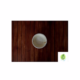sri agro 5 inch round areca bowl