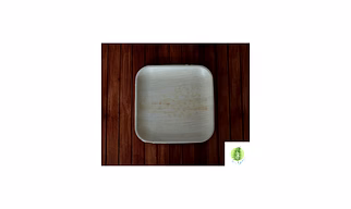 9 Inch Square Areca Plate
