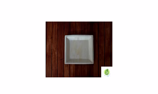 7 Inch Square Areca Plate