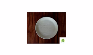 10 Inch Round Shallow Plate