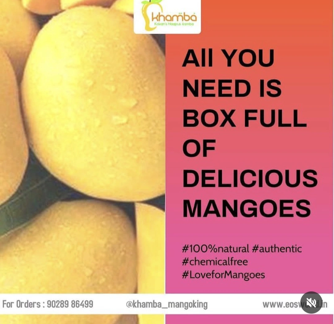 Indian Ratnagiri Alphonso Mangoes-3