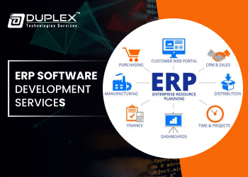 ERP Software Development Service-1