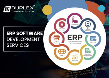 ERP Software Development Service-2