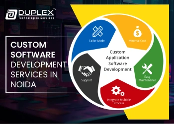 Custom Software Development Service in Noida-1