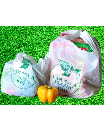 Compostable Carry Bags-1