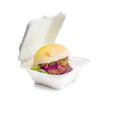 Bagasse Burger Box Packet of 50 Boxes