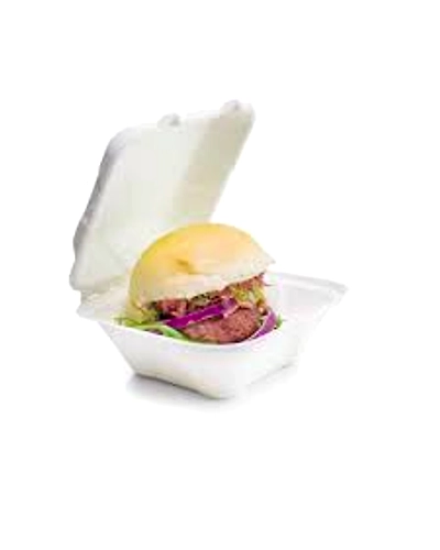 Bagasse Burger Box Packet of 50 Boxes-12100914
