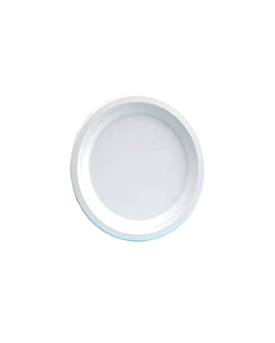Bagasse 9 Plain Plates-12117490