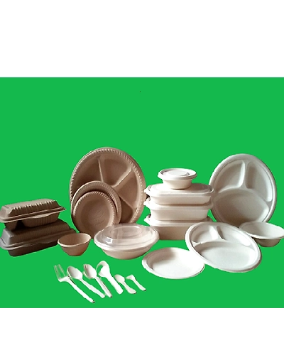 Bagasse 9 Plain Plates-1