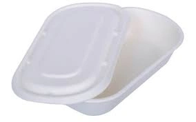 Bagasse 500 ml Oval Container with Lid Packet of 50-12143366