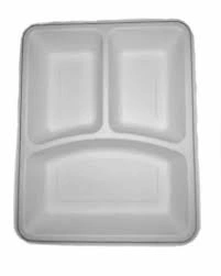 Bagasse 3 Compartment Rectangle Tray Packet of 50 Trays-12143384