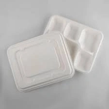 Bagasse 5 Compartment Tray Packet of 50 Tray-557db1c7ed3d6bc4