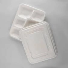 Bagasse 5 Compartment Tray Packet of 50 Tray-1