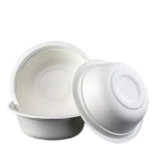 Bagasse 180 ml Bowl Packet of 50 Bowls-aa1de20e2d02e880