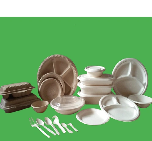 Bagasse 12 Inch 4 Compartment plates-1