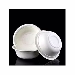 Bagasse 100 ml Bowl Packet of 25 Bowls