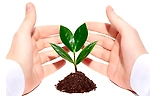 Garden Doctor-logo