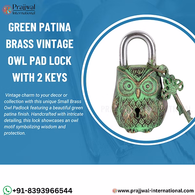 brass vintage owl padlock with 2 keys