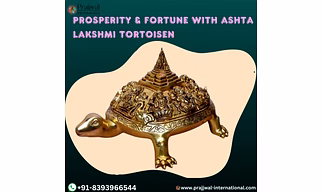 The Ashta Lakshmi Tortoise