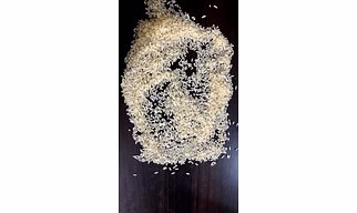 Non-Basmati Rice