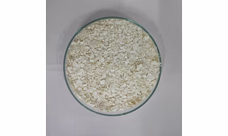 Egg shell