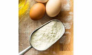 Egg Albumen Powder