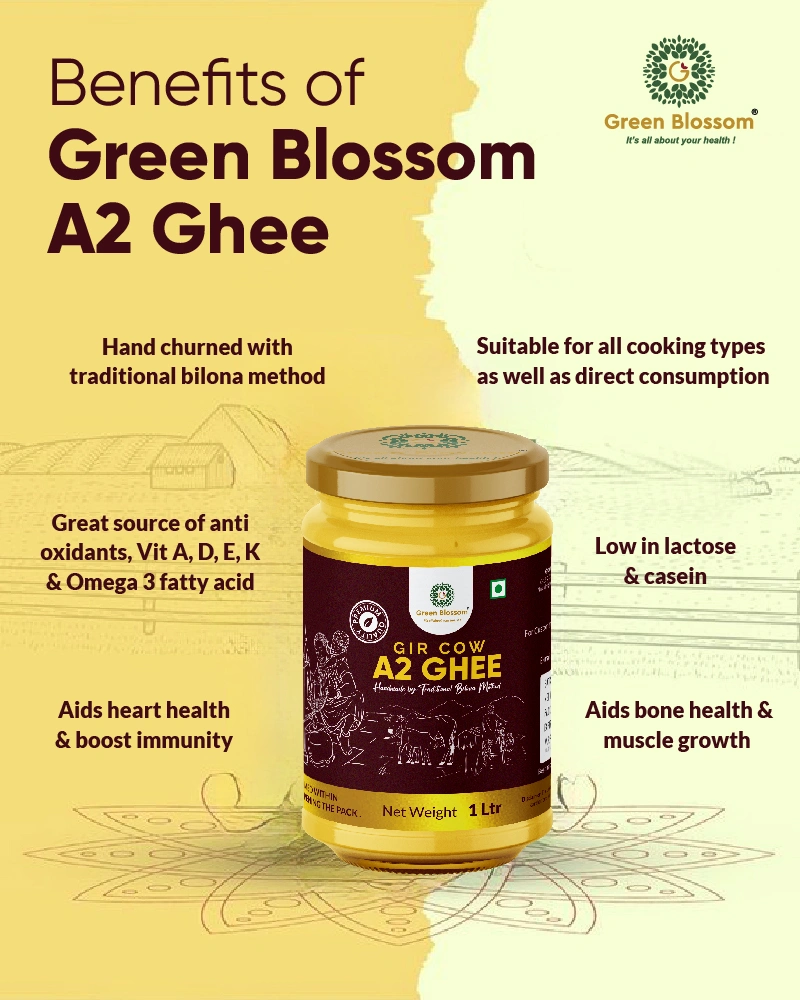 A2 Gir Cow Ghee - 300 ML | Vedic Bilona Ghee I Hand Churned Ghee-300ml-3