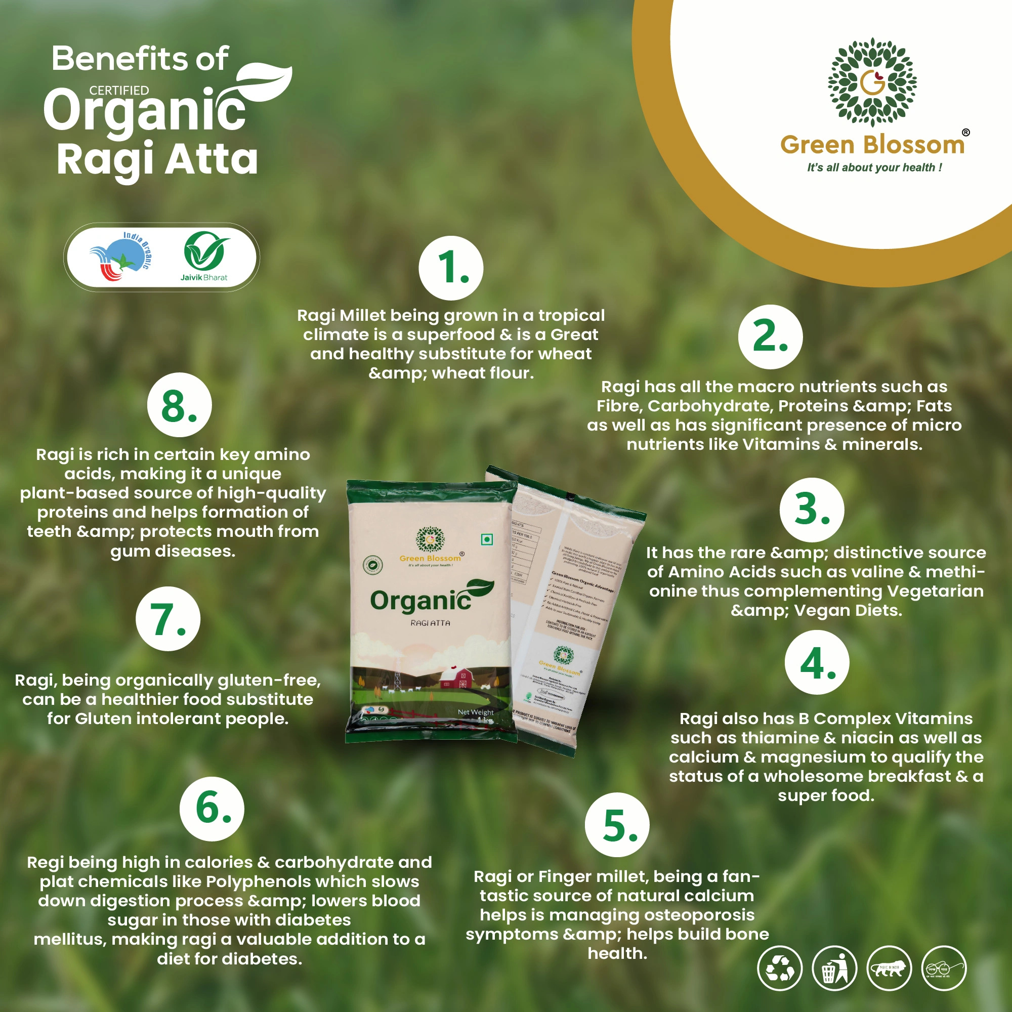 Organic Ragi Atta / Finger Millet Flour - 10 Kg , ( Pack of 10, 1 Kg ) I Green Blossom-10kg-7