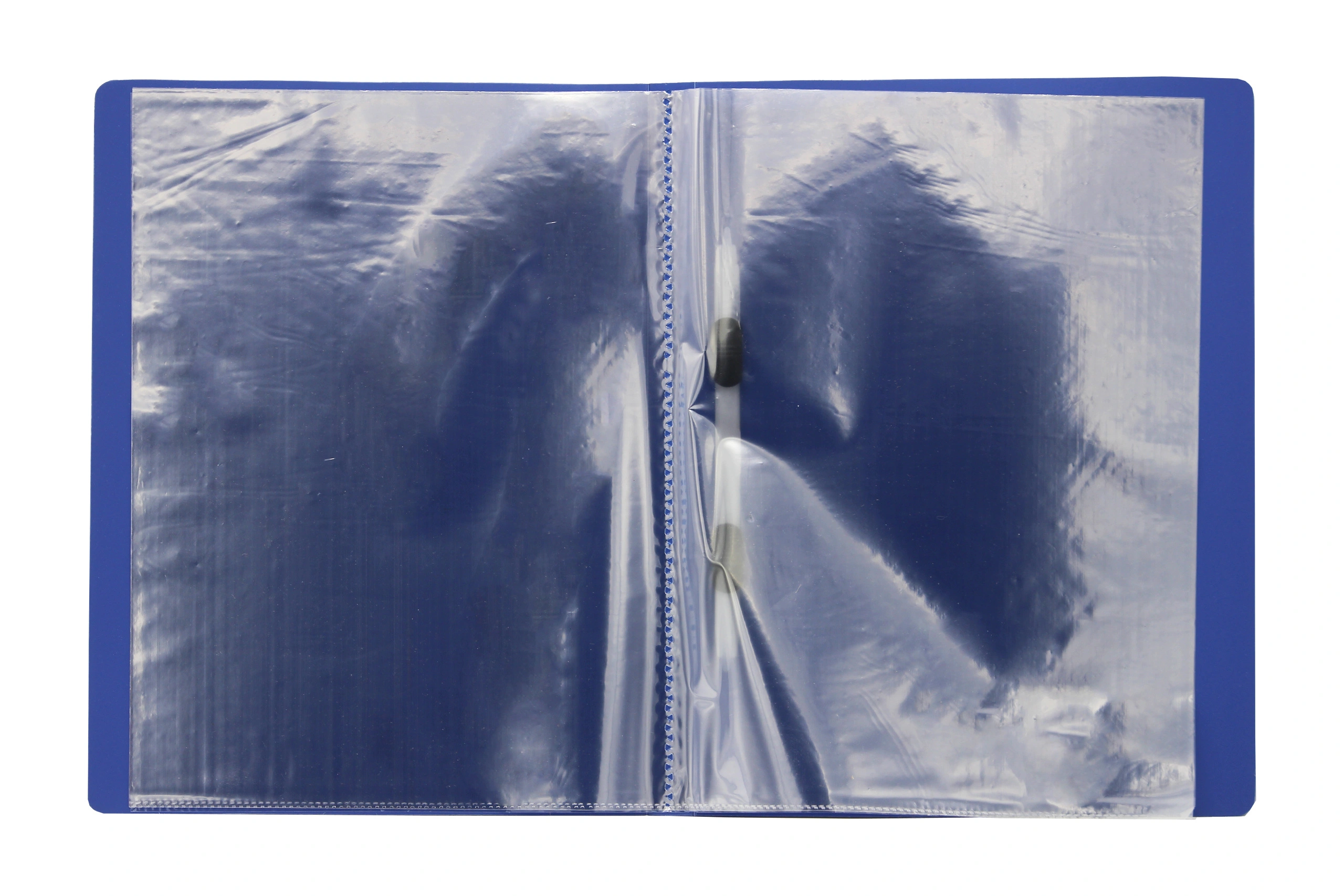 Keny Display File | Clear Leaves | Best for A4 Size Papers | 20 Folders | Plastic Clip | (851A/20F)-Blue-1