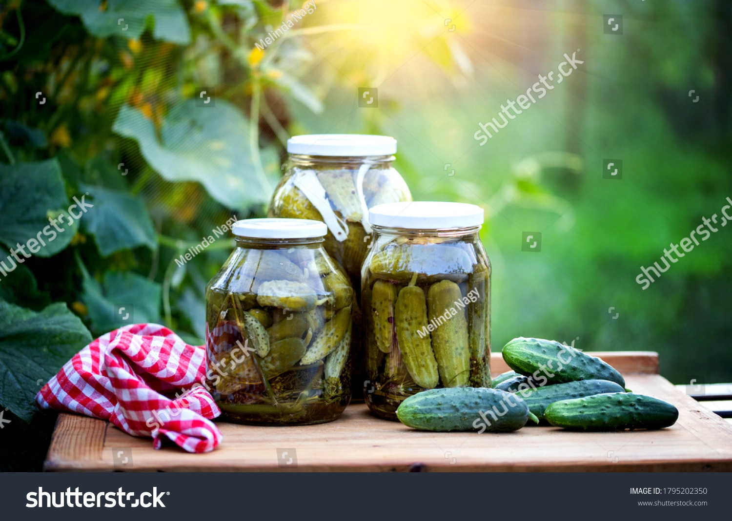 cucumber pickles-2