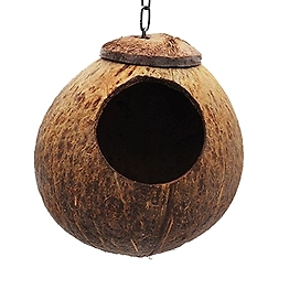 Birds nests