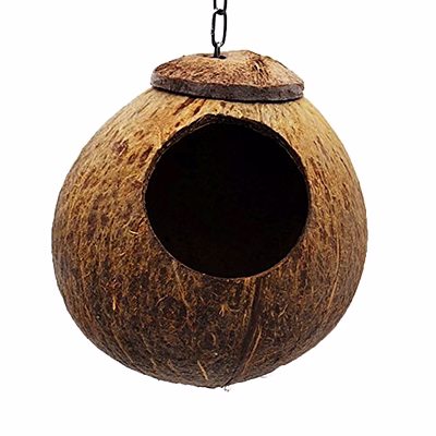 birds nests