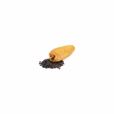 lakshmi organic loofah/organic gourd