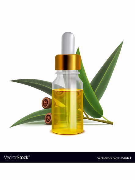 Eucaliptus oil-2