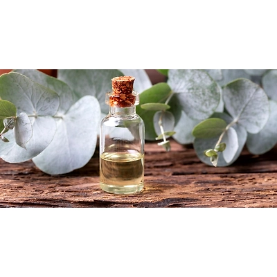 lakshmi Eucaliptus oil