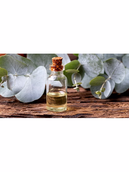 Eucaliptus oil
