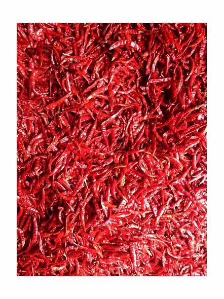 Guntur red chilli-3