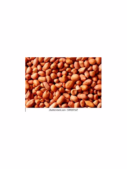 Ground nuts-3
