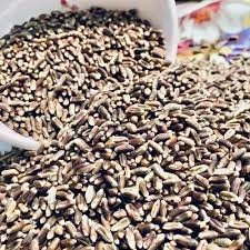 Natural wheat grains-3