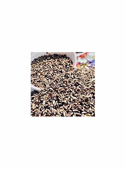 Natural wheat grains-3