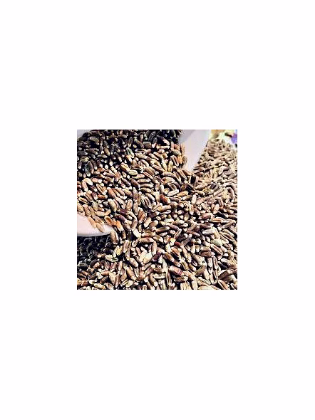 Natural wheat grains-2