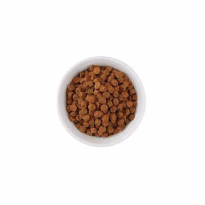 pet cat food