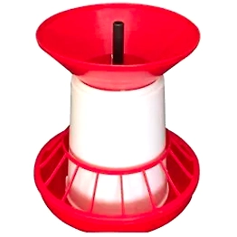 chicken poultry feeder