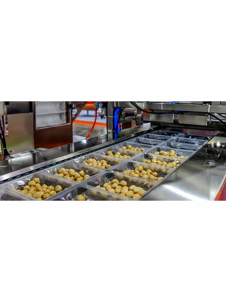 food processing plant