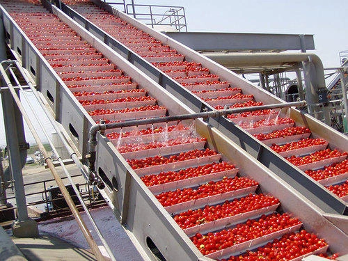 Tomato puree processing plant-12310704