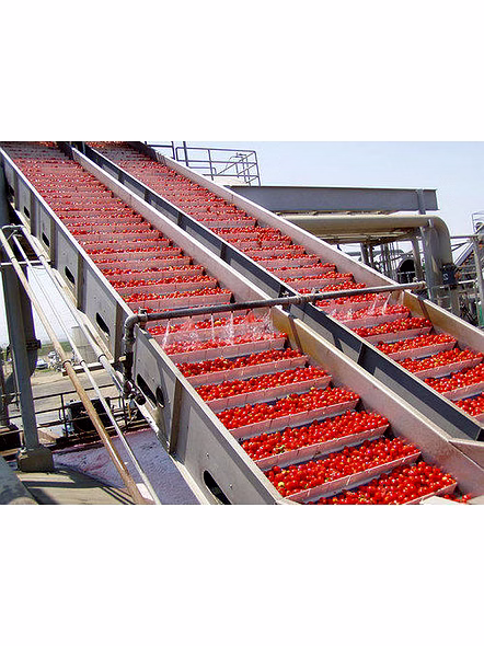 Tomato puree processing plant