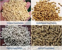 poultryfeed-12131884