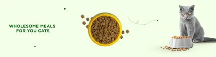 pet cat food-12131882