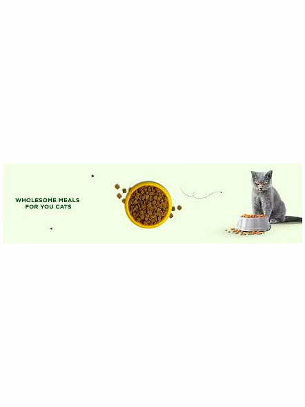 pet cat food