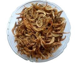 dry prawns-12131880